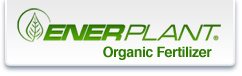 Enerplant Logo